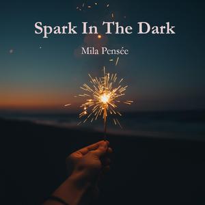 Spark In The Dark