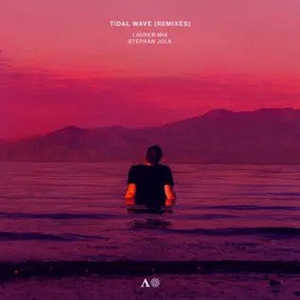 Tidal Wave (feat. Bien Et Toi) - Stephan Jolk Remix