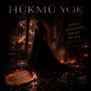 Hükmü Yok