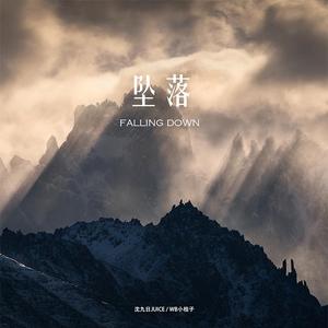 坠落Falling Down