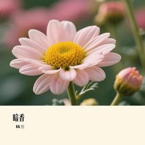 暗香（Cover 沙宝亮）