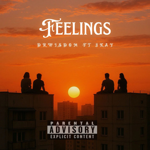 Feelings