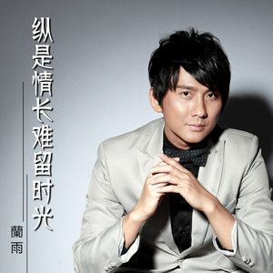 纵是情长难留时光 (DJ雨义博版)