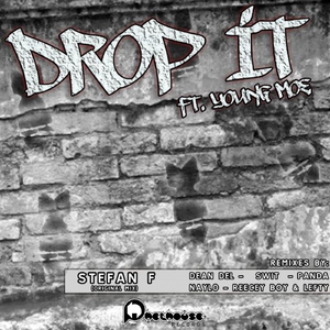 Drop It (Reecey Boi & Lefty Remix)