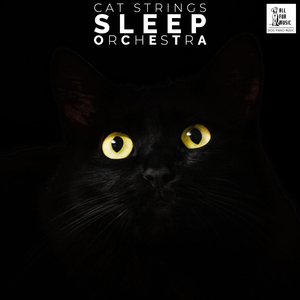 Movie Orchestral Strings Solo