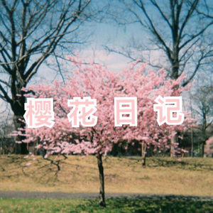 樱花日记