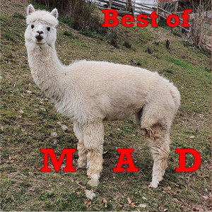 Helfende Hände (Remastered)