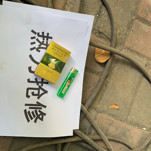 红豆 王菲