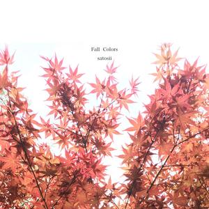 Fall Colors