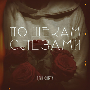 По щекам слезами