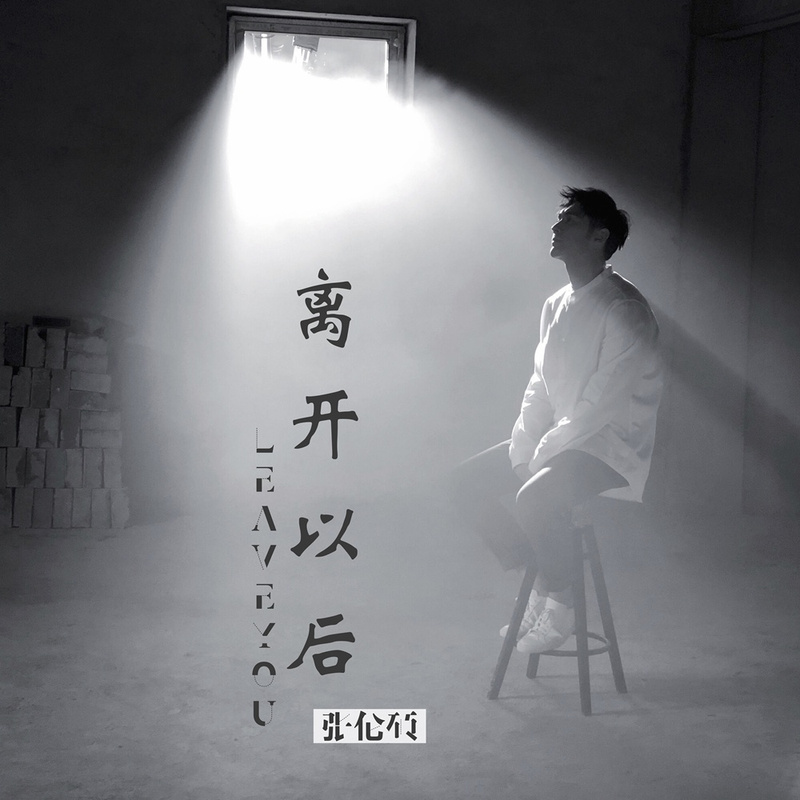 离开以后封面