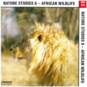 Athmospheric Africa
