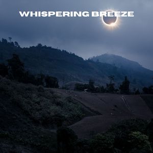 Subtle Static (Loopable, No Fade)