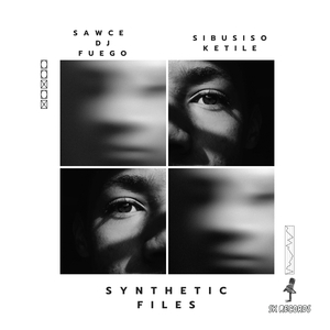 Synthetic Files