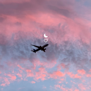 白月(White Moonlight)