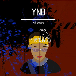 YNB
