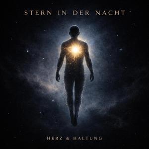 Stern in der Nacht