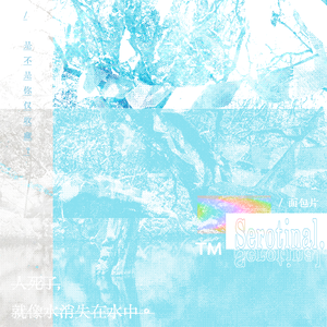 We Are Confidence Man