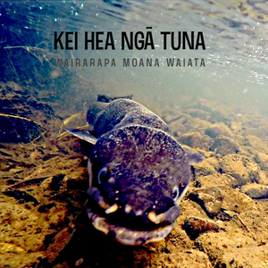 Kei hea ngā tuna