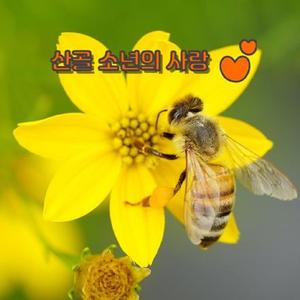 산골 소년의 사랑