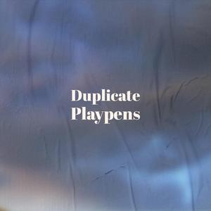 Duplicate Playpens