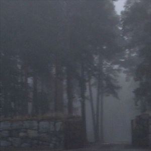 i think i'm going insane