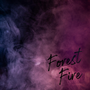 Forest Fire
