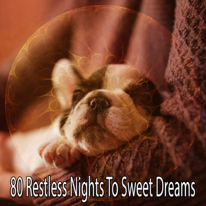 平靜的夜晚休息