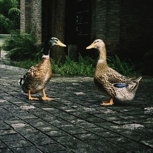 Everything i Do (Original Mix)