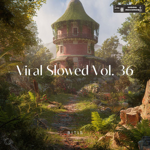 Money so Big - Slowed