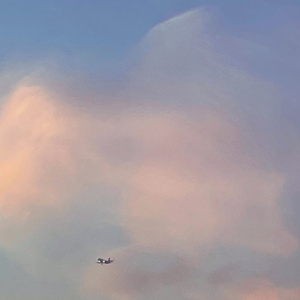 illusory (APTF Reimagination)