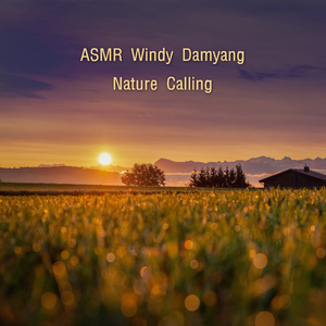 ASMR 바람부는 담양