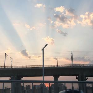 一人一花完整版