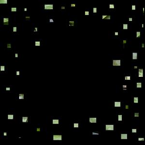 Chilatherina axelrodi