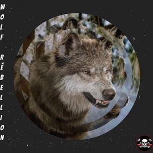 Wolf rébellion "vol 1" (feat. Koulon)