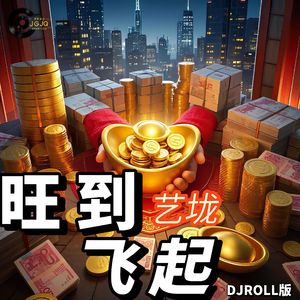 旺到飞起 (DJ版伴奏)