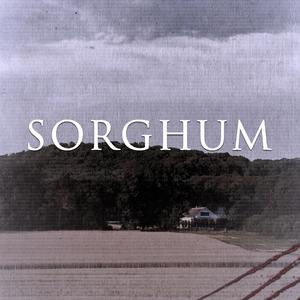 Sorghum