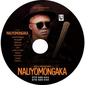 Naliomo Ngaka