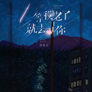 等我老了就去寻你