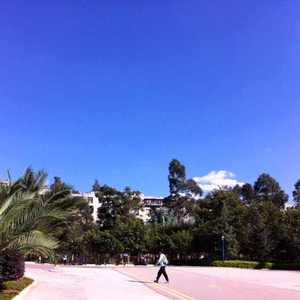 窗外又是大太阳