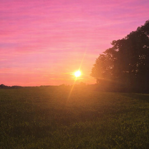 Рожеве небо