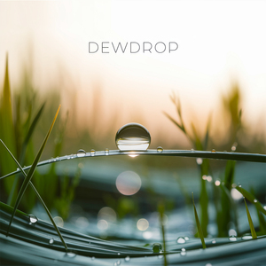 Dewdrop