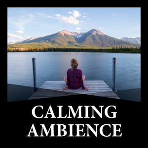 Roll With The Punches