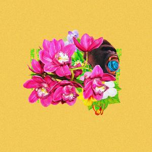 nobodyreadsinarizona_84