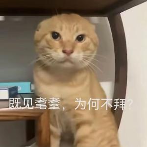 滚木
