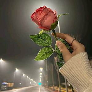 偷一口月亮尝尝