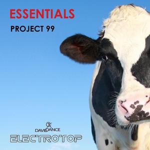 Essentials (Original mix)