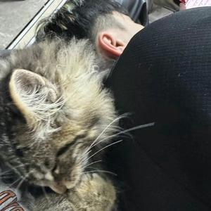 [Trap]SASIOVERLXRD X RICHNOMADIC Type beat - 色