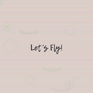Let's Fly!