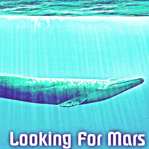 Looking For Mars